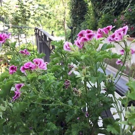 “ Fonte Del Borgo” Apartman