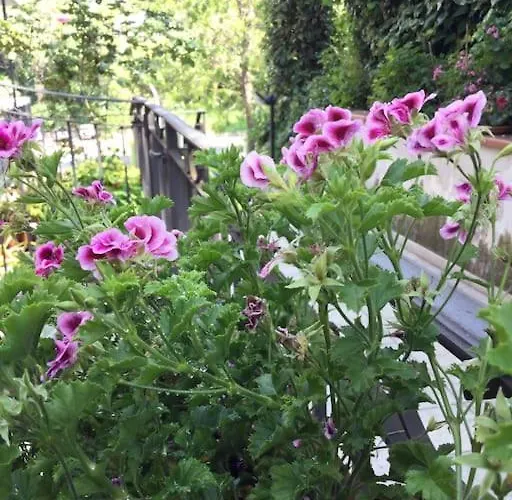 “ Fonte Del Borgo” דירה